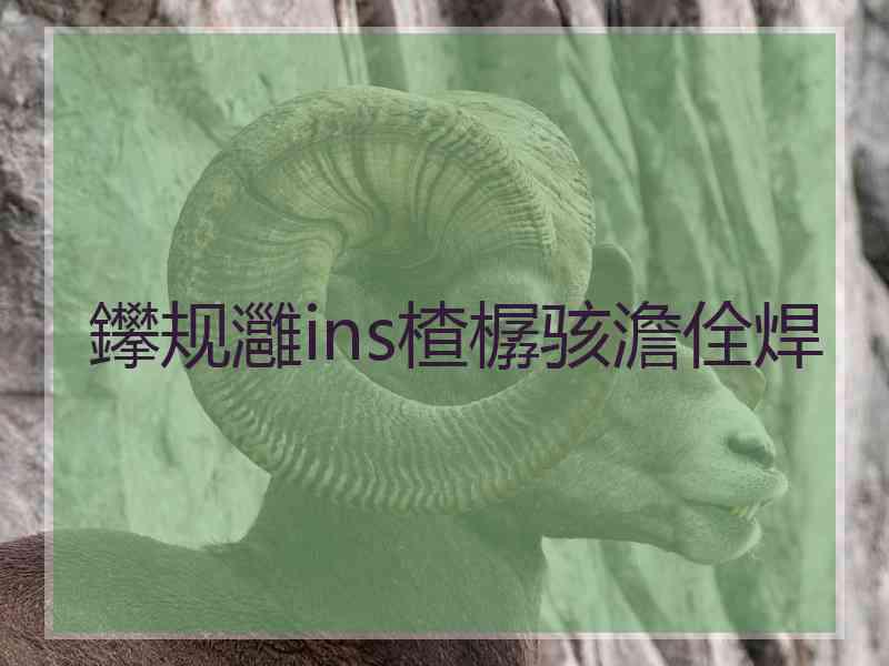 鑻规灉ins楂樼骇澹佺焊