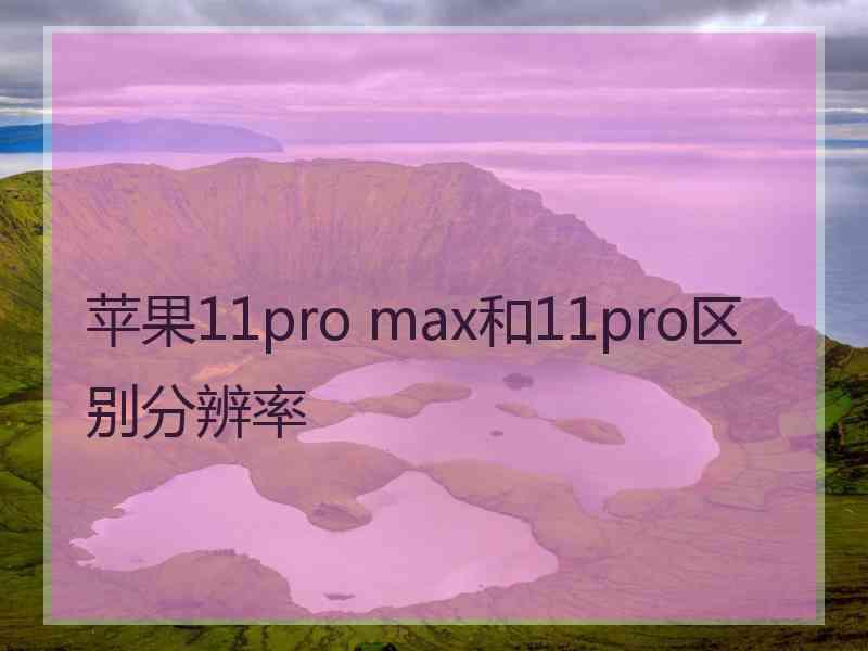 苹果11pro max和11pro区别分辨率