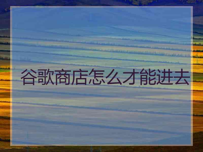 谷歌商店怎么才能进去