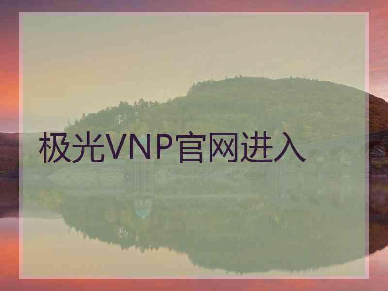 极光VNP官网进入