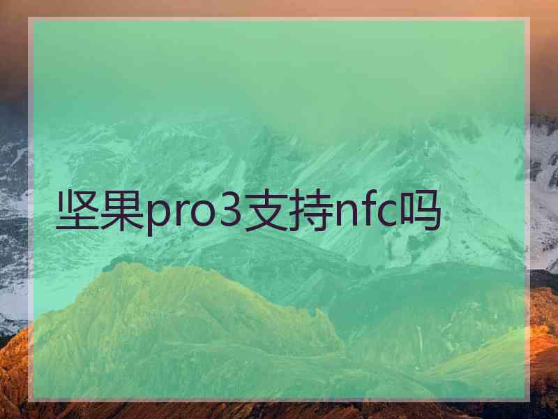 坚果pro3支持nfc吗