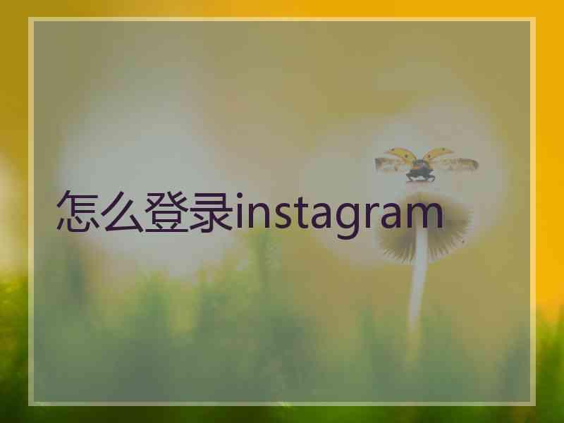 怎么登录instagram