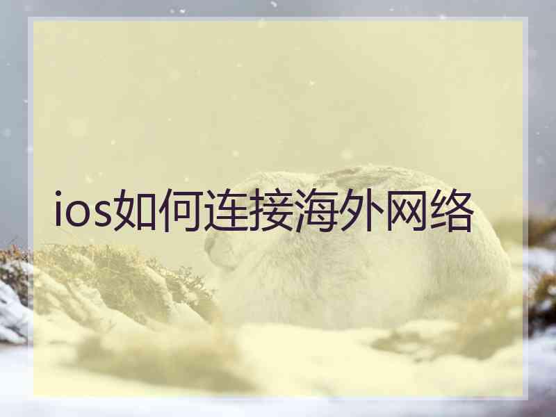 ios如何连接海外网络