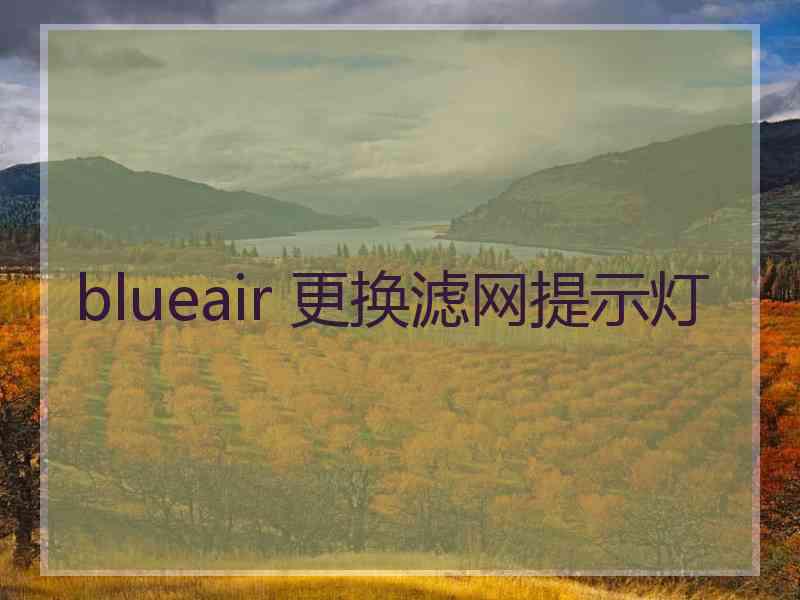 blueair 更换滤网提示灯