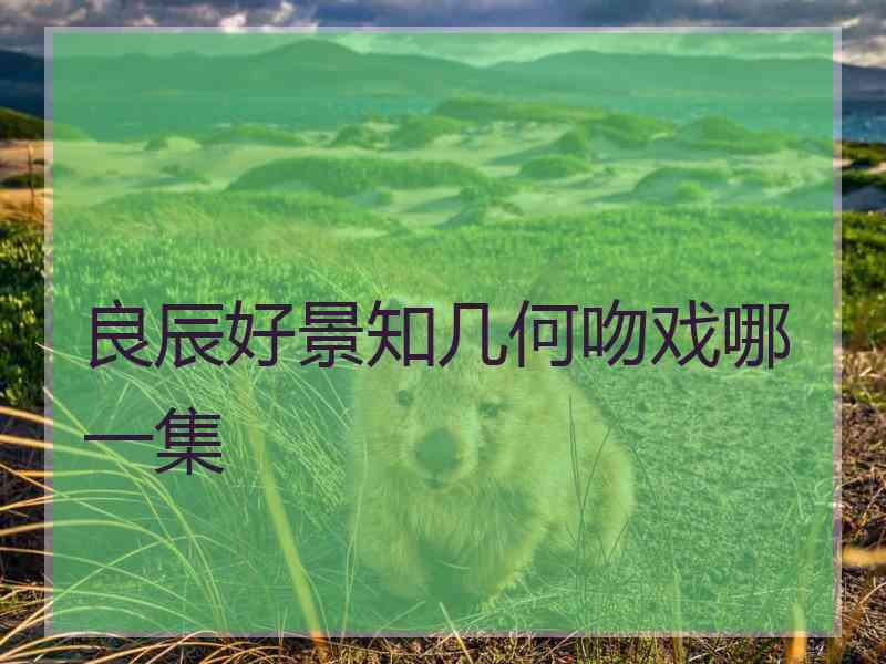 良辰好景知几何吻戏哪一集