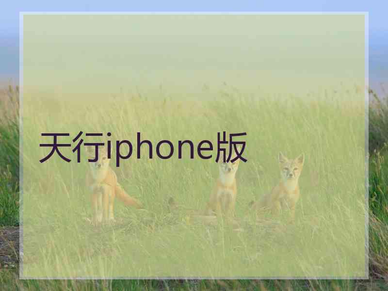 天行iphone版