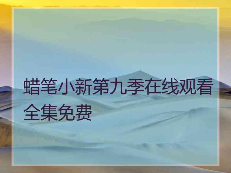 蜡笔小新第九季在线观看全集免费