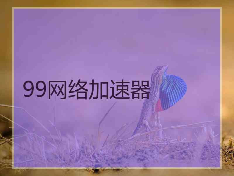 99网络加速器