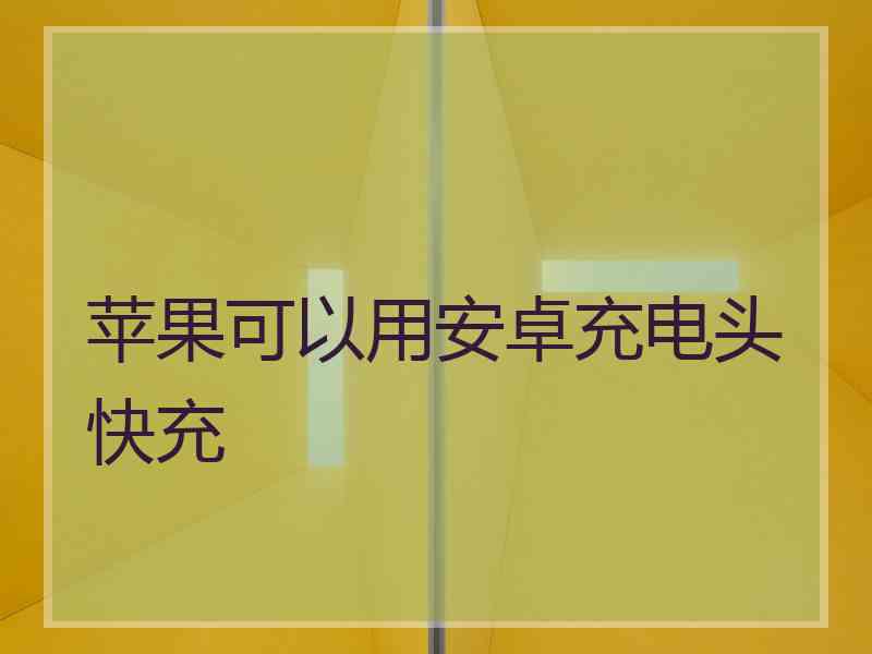 苹果可以用安卓充电头快充
