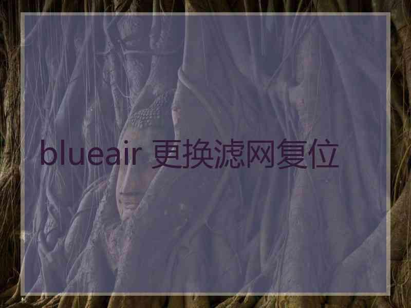 blueair 更换滤网复位