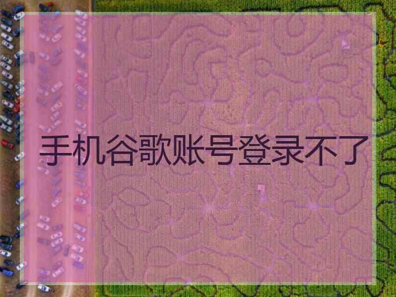 手机谷歌账号登录不了