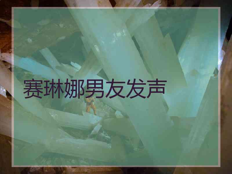 赛琳娜男友发声