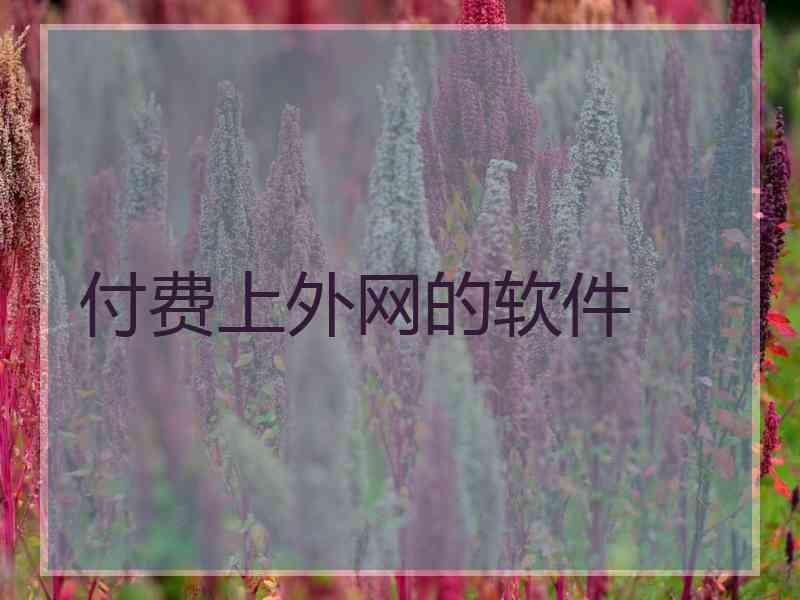 付费上外网的软件