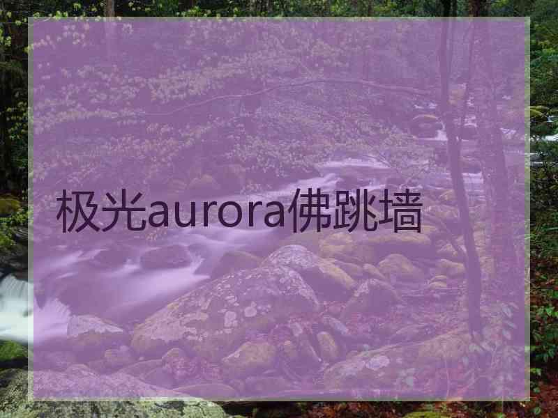 极光aurora佛跳墙