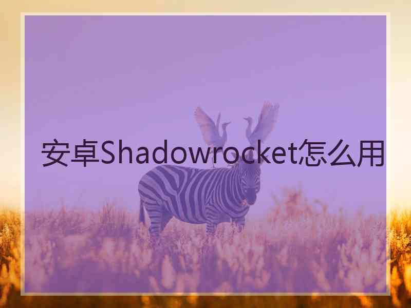 安卓Shadowrocket怎么用