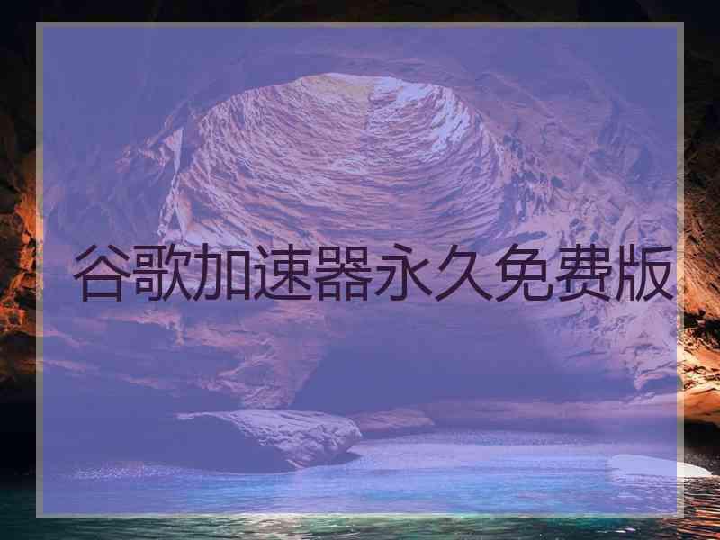 谷歌加速器永久免费版