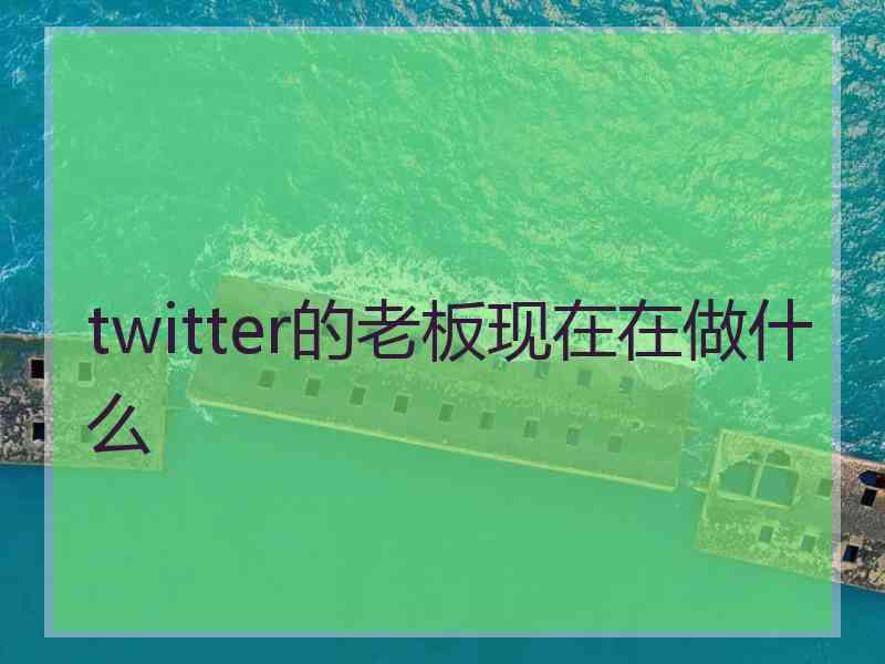 twitter的老板现在在做什么