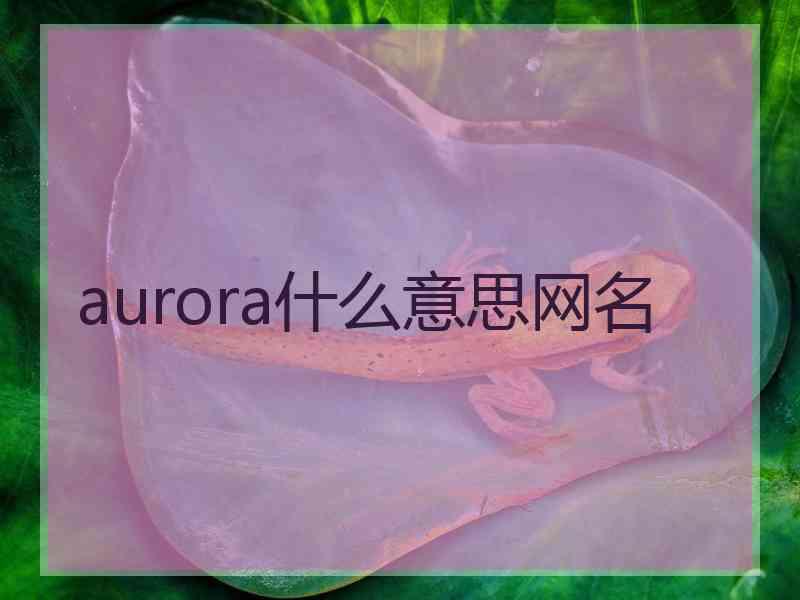 aurora什么意思网名