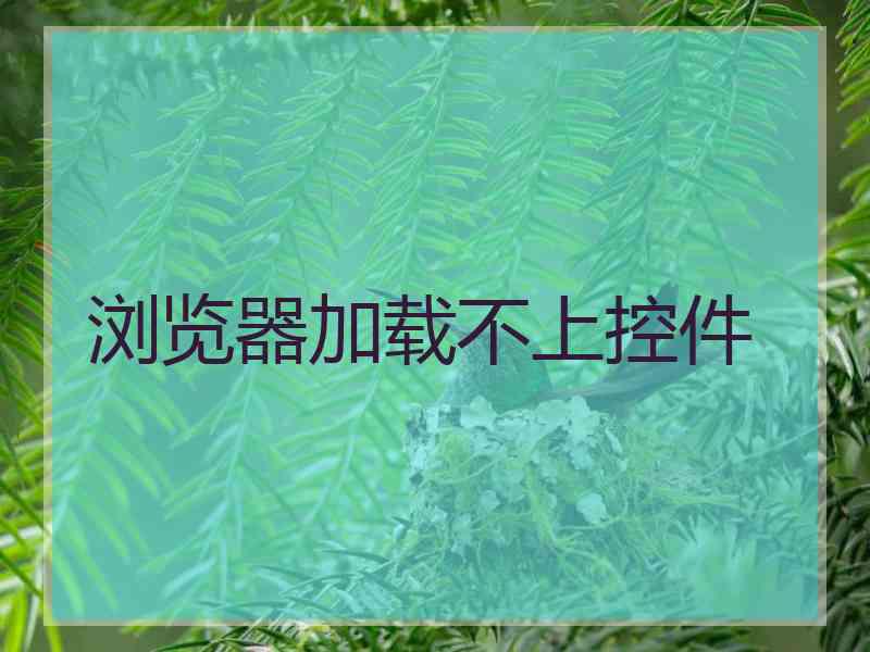 浏览器加载不上控件