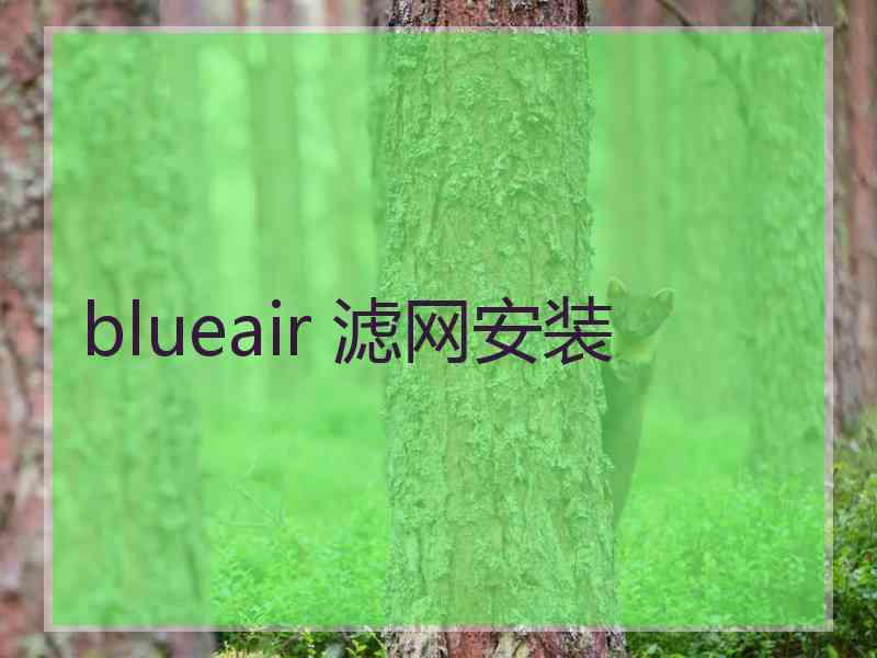 blueair 滤网安装