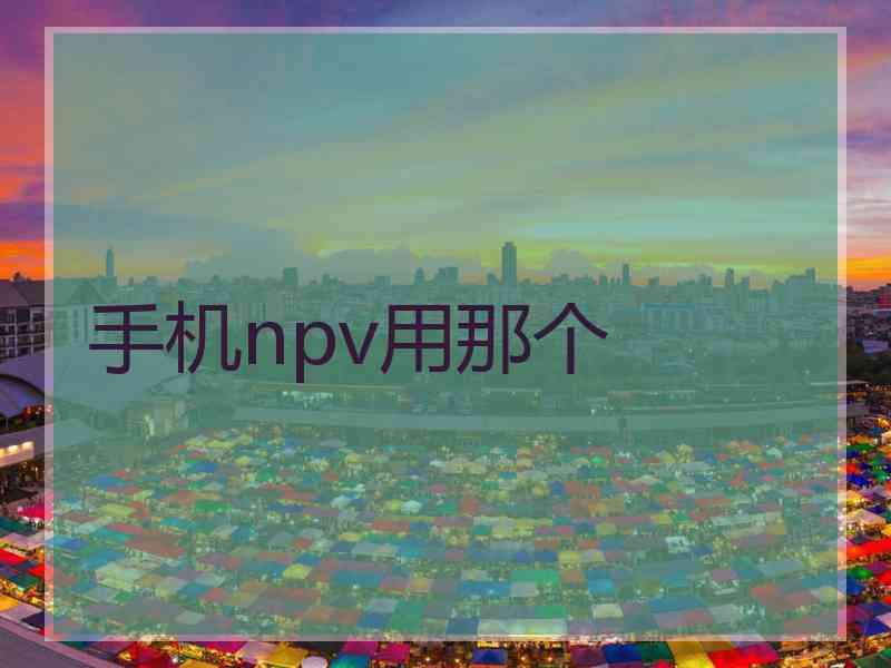 手机npv用那个