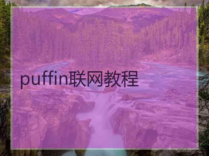 puffin联网教程