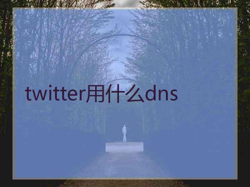 twitter用什么dns