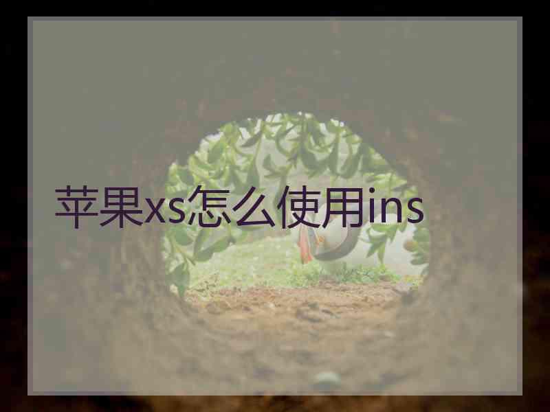 苹果xs怎么使用ins