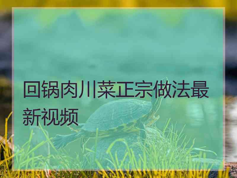 回锅肉川菜正宗做法最新视频