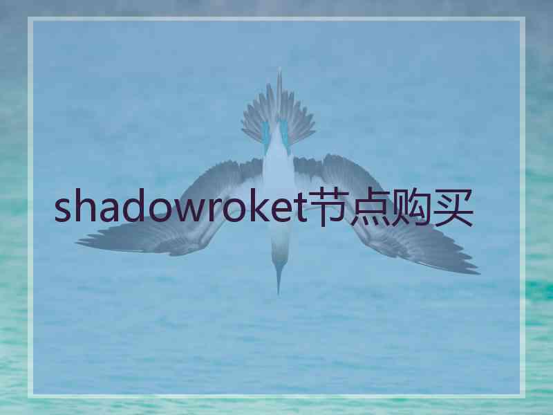 shadowroket节点购买