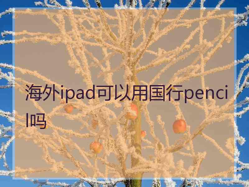 海外ipad可以用国行pencil吗