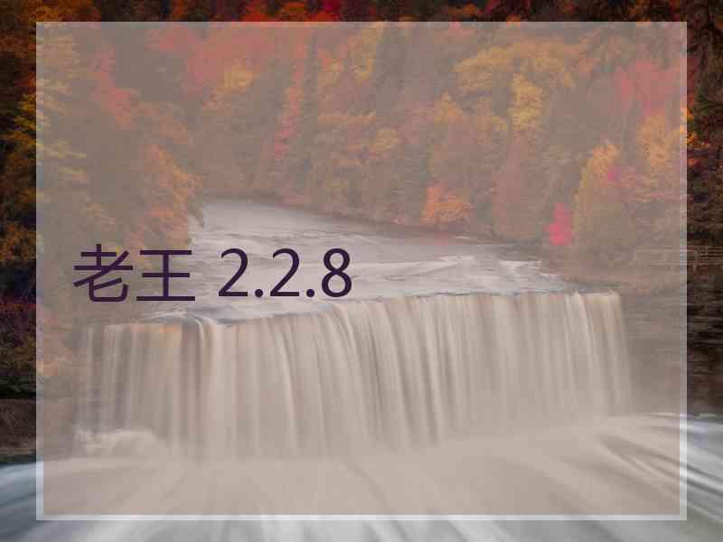 老王 2.2.8