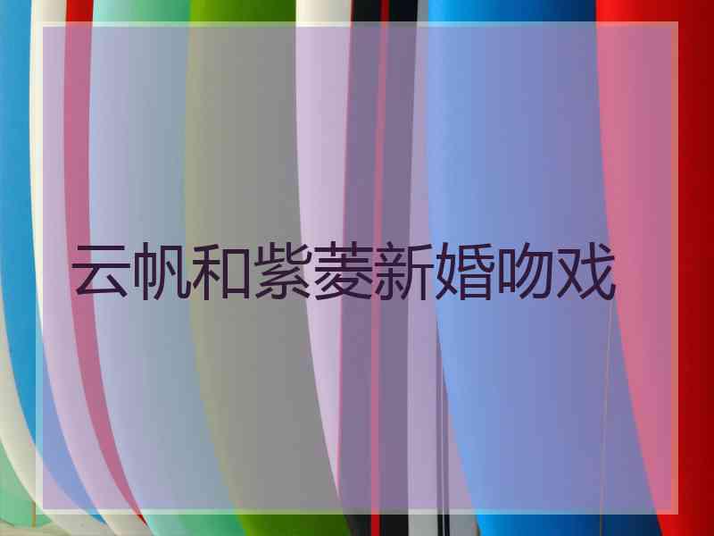 云帆和紫菱新婚吻戏
