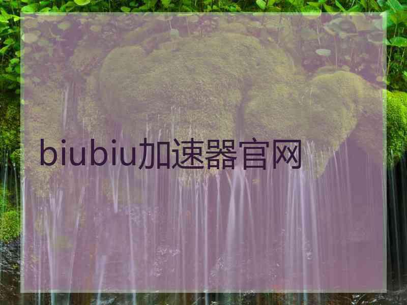 biubiu加速器官网