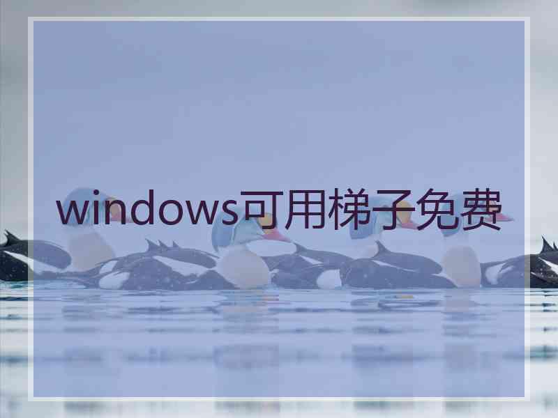 windows可用梯子免费