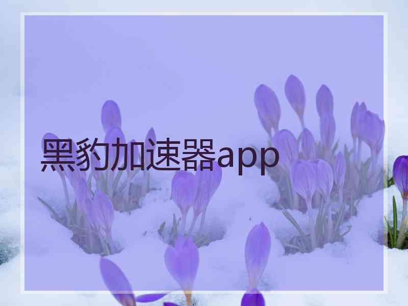 黑豹加速器app