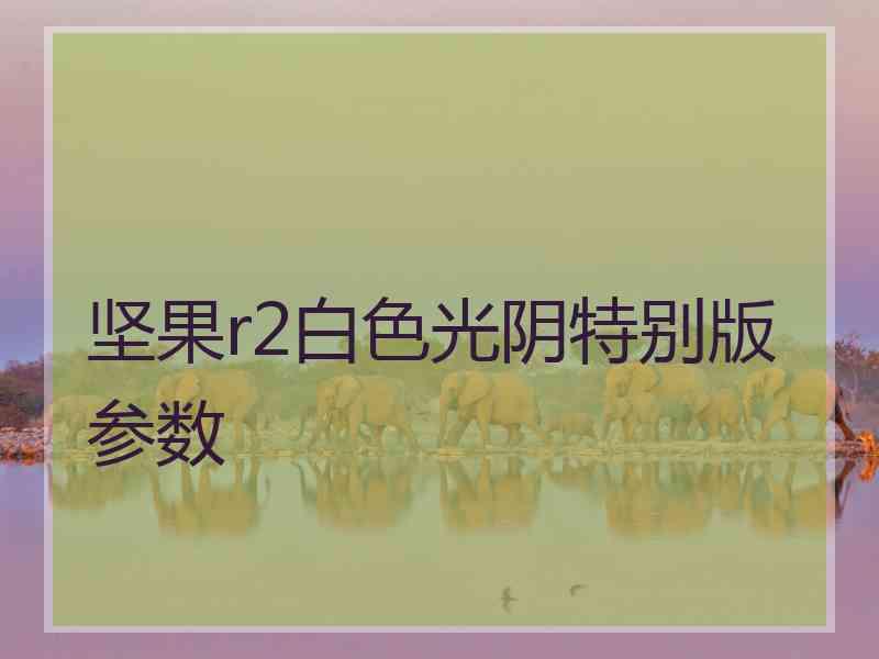 坚果r2白色光阴特别版参数