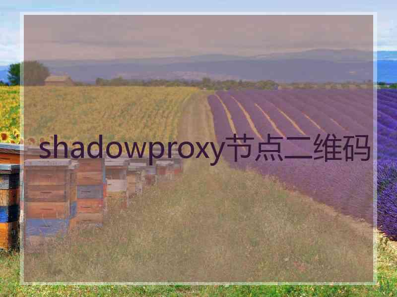 shadowproxy节点二维码