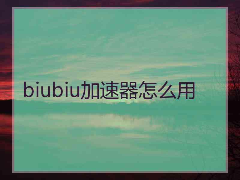 biubiu加速器怎么用