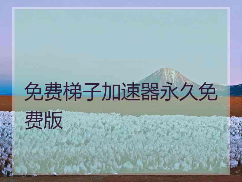 免费梯子加速器永久免费版