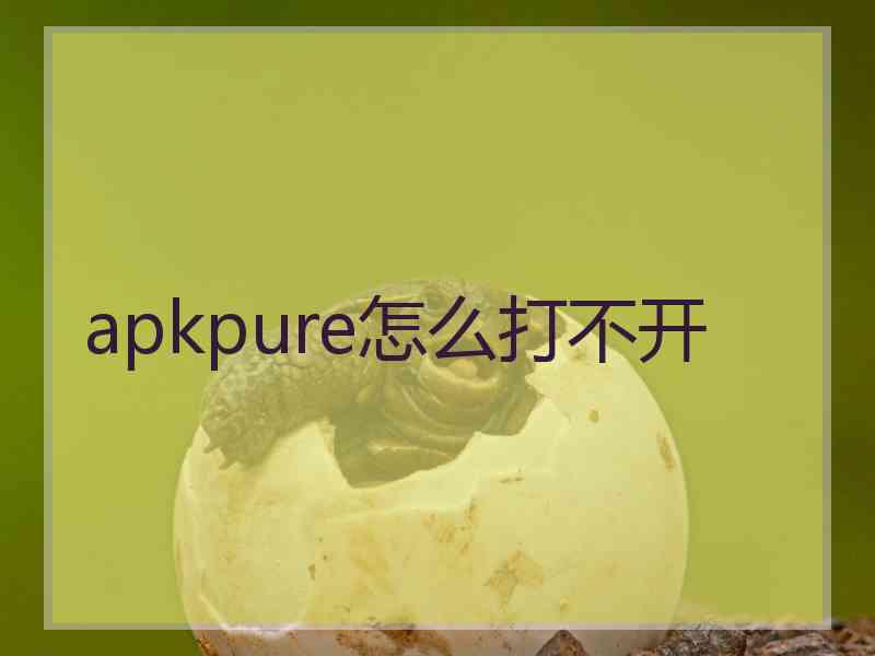 apkpure怎么打不开