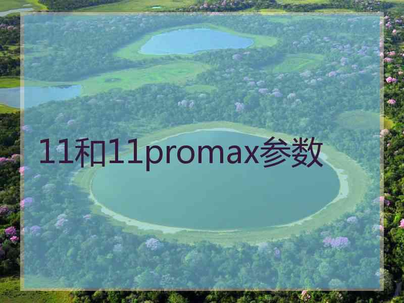 11和11promax参数 11和11promax参数