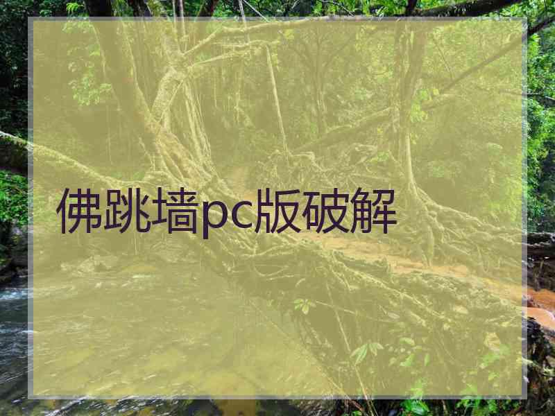 佛跳墙pc版破解