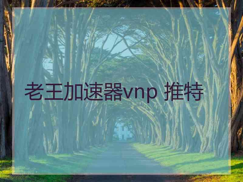 老王加速器vnp 推特