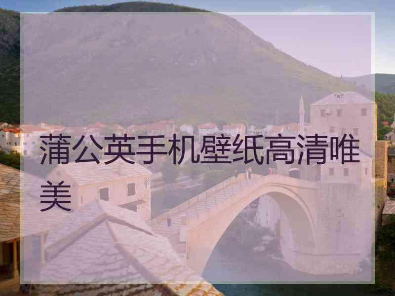蒲公英手机壁纸高清唯美