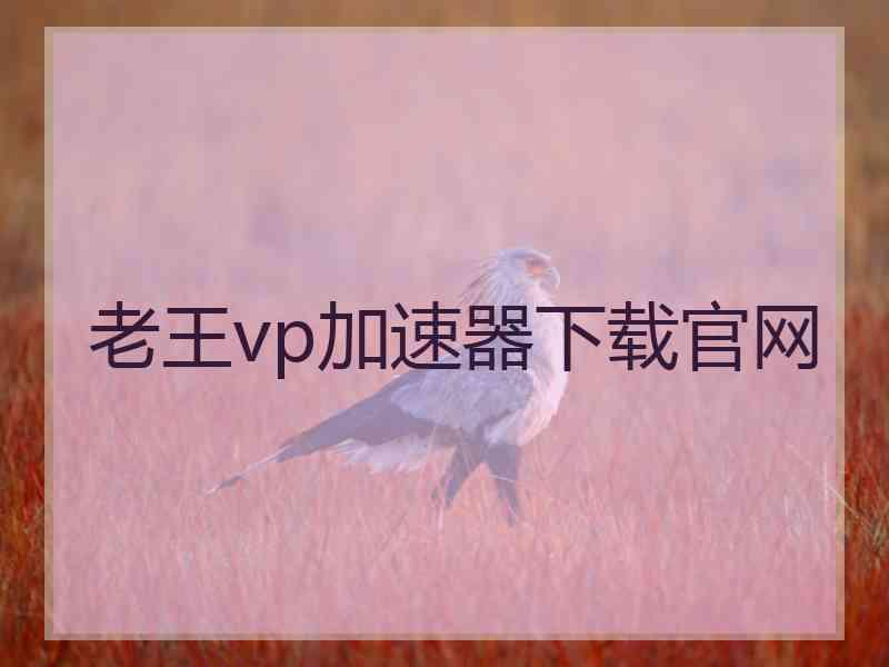 老王vp加速器下载官网