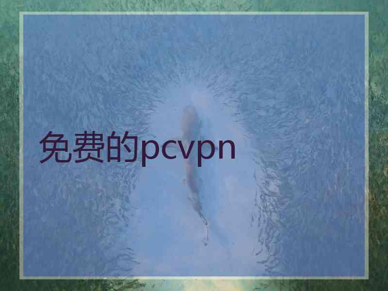 免费的pcvpn