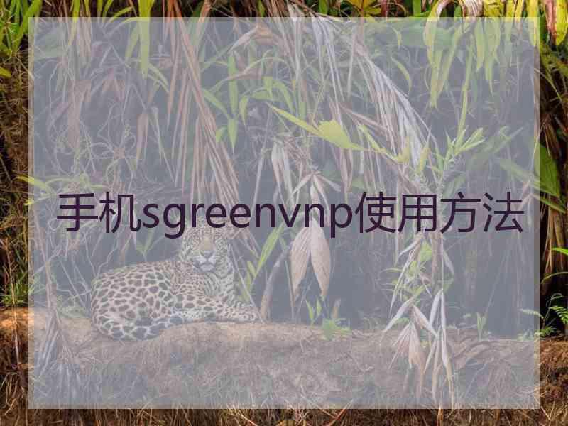 手机sgreenvnp使用方法